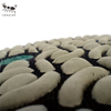 Little Ant 4 -дюймовый 100 -мм сухой полировочный прокладка для песчаника Гранит Мраморный Терраццо Кварц