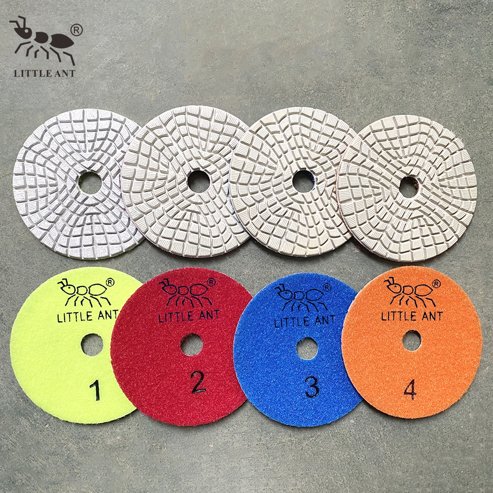 _0011_h3wp4-bl Маленький муравей